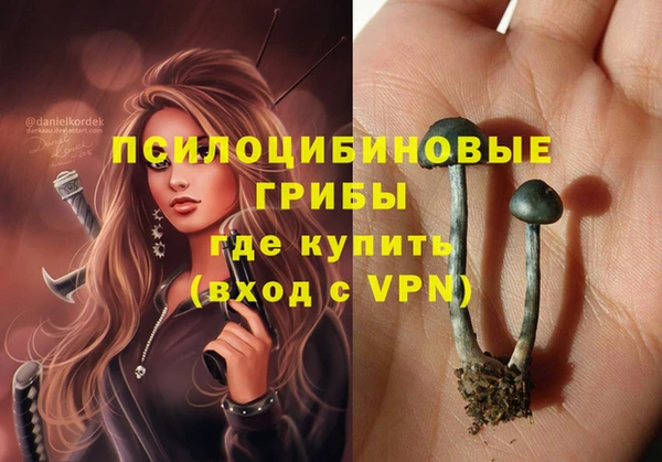 ALPHA-PVP Дедовск